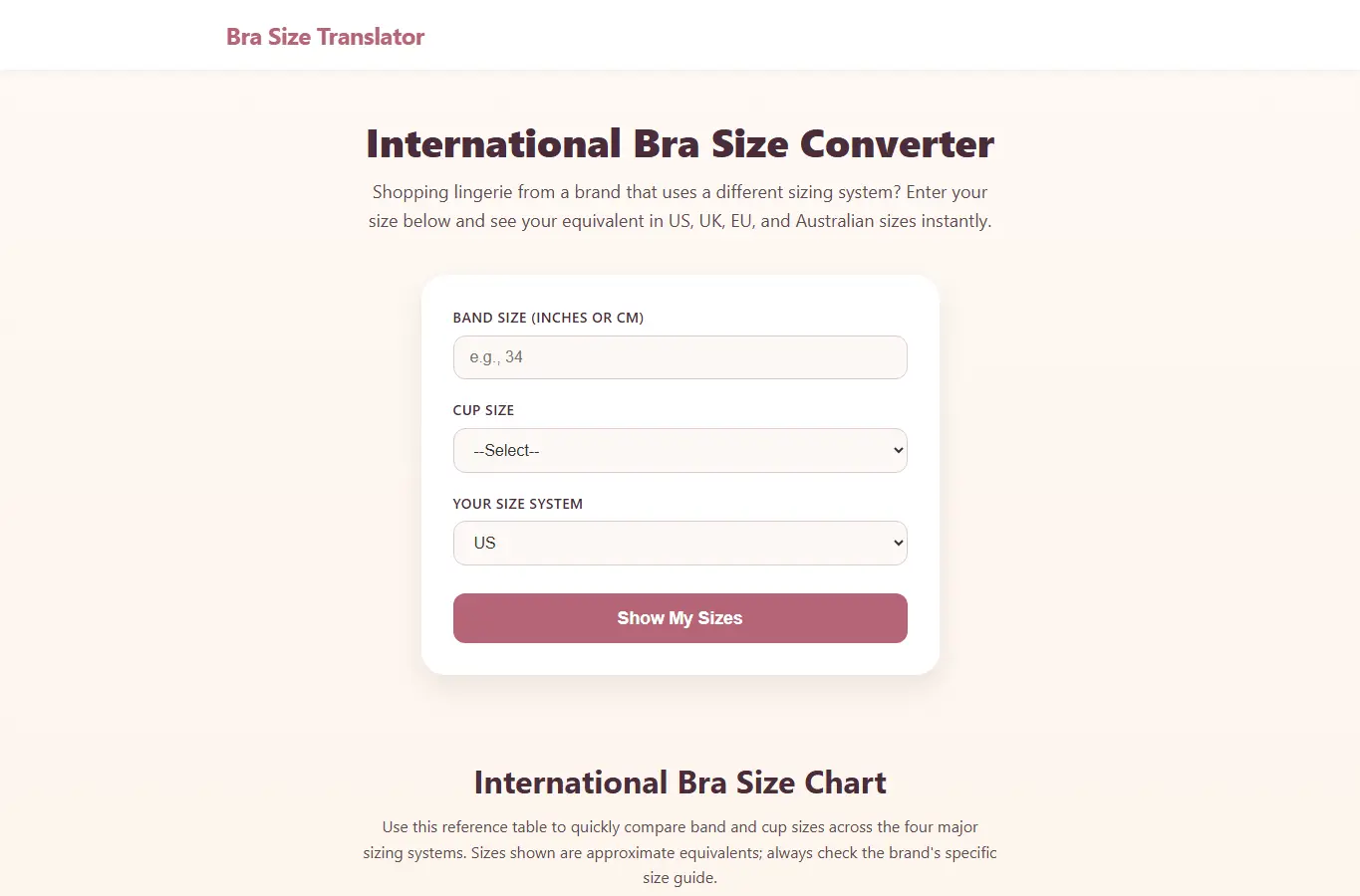 Screenshot of Bra Size Translator interface showing the project page in use